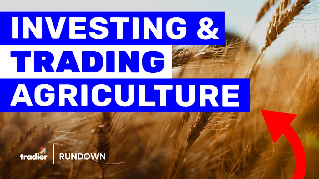 Trading Crops Investing and Trading Agriculture as the 2024 Crop Year Gets Underway